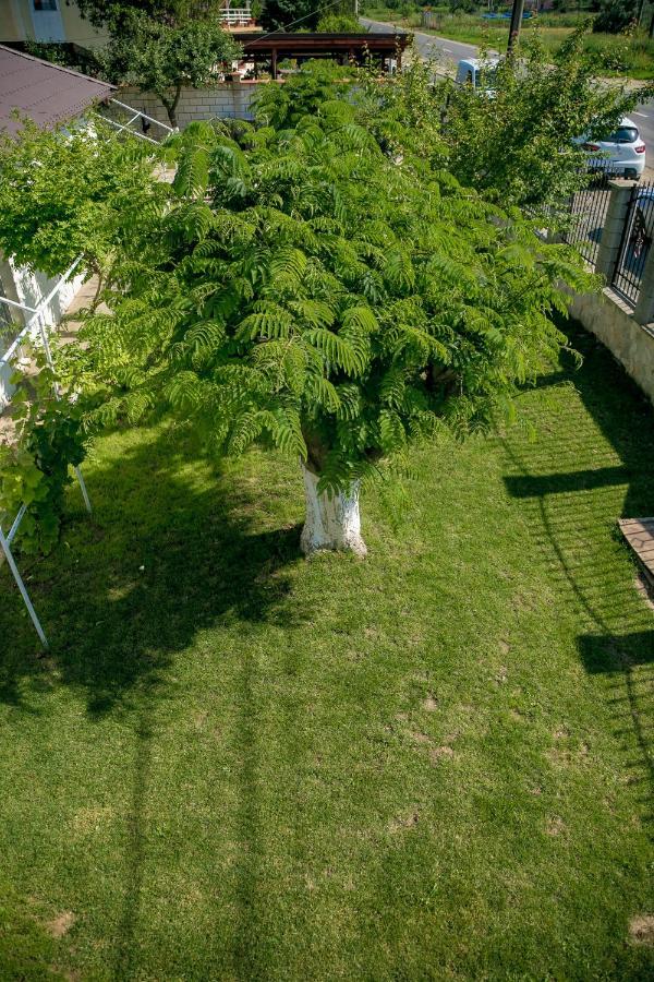 Casa Iordachescu 2 Mai Hotel Екстериор снимка
